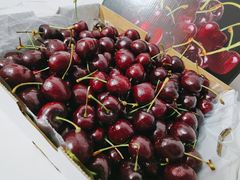 -上海龙吴水胜海发市场