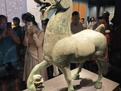 -广西壮族自治区博物馆