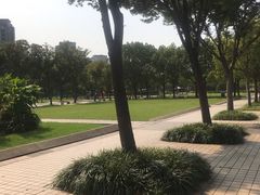 -新江湾城公园