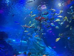 -沈阳海洋探索中心