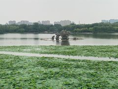 -大兴滨河森林公园