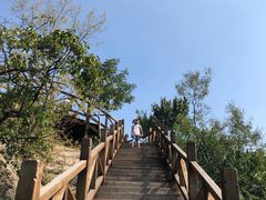 -大岭沟猕猴桃谷风景区