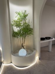 -VE专注问题肌·赛诺龙&科学美肤中心