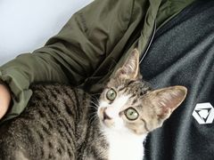 -芭比堂宠物医院·全科爱猫医院·仁德分院