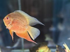 -太奥幻太奇海洋馆