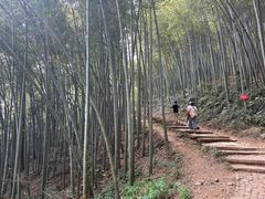 -西湖风景区十里琅珰-五云山