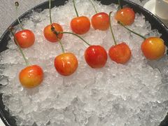 -柿合缘新京菜(国金中心商场店)