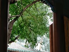 -北京国子监胡同