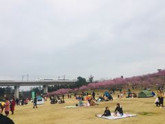 -秀丽东方