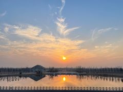 -盐城丹顶鹤湿地生态旅游区