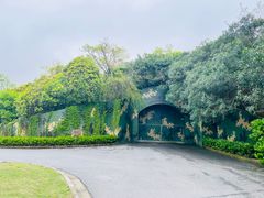 -上海吴淞炮台湾国家湿地公园