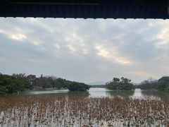 -江心屿景区
