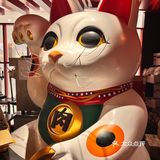 魔都探店|静安寺猫府烧肉薅羊毛攻略
