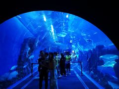 -成都浩海立方海洋公园