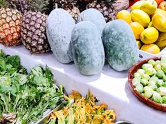 -滇铺子·云南特色菜·第九届野生菌美食节(东风东路c86店)
