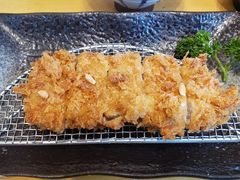 -胜博殿日式炸猪排(西红门店)