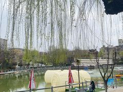 -莲湖公园