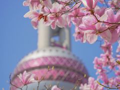 -东方明珠广播电视塔