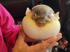 -永安鱼庄·镇江菜(东吴路店)