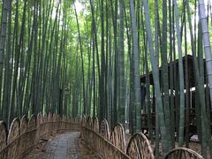 -宝岩生态观光园