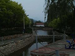 -小慧大桃观光采摘园