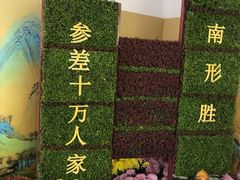 -杭州植物园
