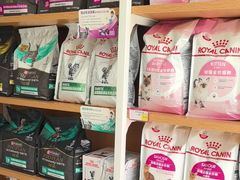 -艾贝尔宠物医院·24H转诊中心·肿瘤猫专科(江宁双龙店)