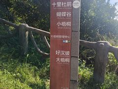 -梧桐山风景名胜区