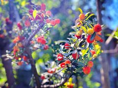 -驿舍·民國老营房院子私房菜(科学会堂店)