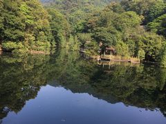 -德庆盘龙峡生态旅游区