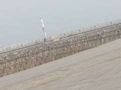 景点-东港音乐喷泉广场