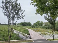 -永定河休闲森林公园