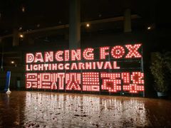 -锦江乐园舞狸花花游园会(夜场专享)