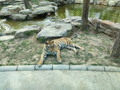 -北京野生动物园