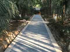 -洪湖悦兮半岛国际温泉度假村
