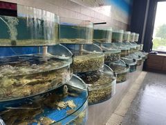 水产区-蓝珊甄选海鲜自助·火锅大排档(近阿那亚店)