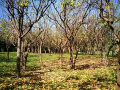 -福建鲤鱼洲酒店