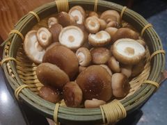 有机松香菇-捞王锅物料理(上海世茂广场店)