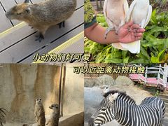 -呀诺达热带雨林