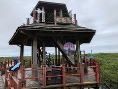 -北海金海湾红树林生态旅游区