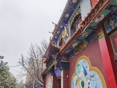 -云南古玩城(护国路店)