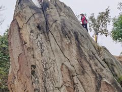 -南山植物园