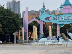 -海合安成都极地海洋公园