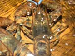 -拉完海鲜大排档(温岭店)