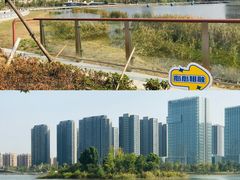 -金沙湖公园
