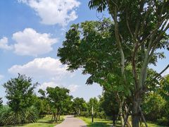 -盘龙城国家考古遗址公园