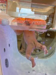 -广州安和泰医学月子会所