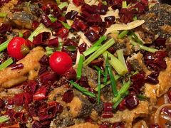 -老板恋上鱼(恒隆广场店)