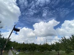 -乌村