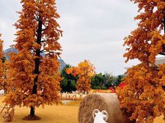 -河南宝泉旅游区